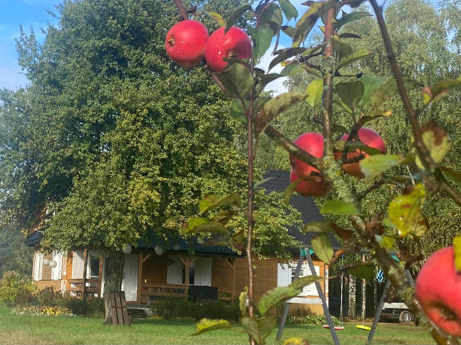 Wakacyjny Dom W Sakach Vila Kleszczele Exterior foto
